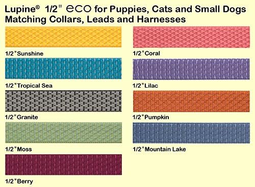 LupinePet Eco 1/2" Tropical Sea Cat Safety Collar with Bell , 8-12"