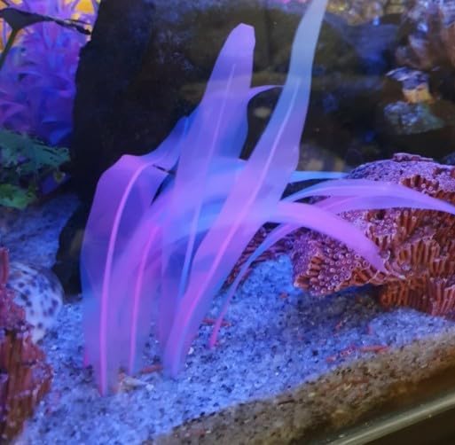 Artificial Aquarium Plants Decoration Set,6pcs Floating Glowing Plants Water Grass for Fish Tank,Pink Blue Green Orange Red Plant 7Inch/9.8Inch/17Inch（Color Size Random）