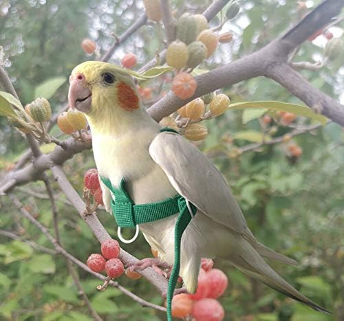 Pet Parrot Bird Harness Leash Adjustable Bird Flying Harness Traction Rope with Cute Wing for Parrots Pigeons Budgerigar Lovebird Cockatiel Mynah Outdoor Training Toy (Green,S)