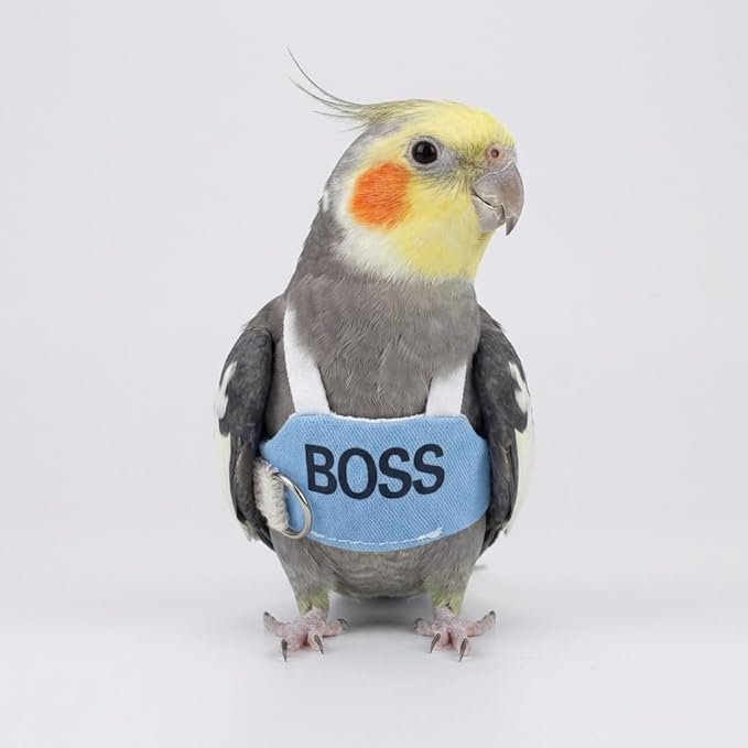 2 Pack Bird Flight Suit Vest, Adjustable Parrot Harness Clothes with Cute Design, Anti-Bite Outdoor Training Outfit for Parakeet, Cockatiel, Conure, Quaker, Budgie (M,with Leash)