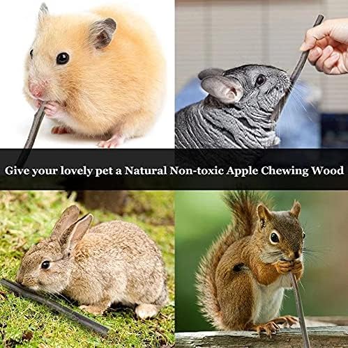 ANDES Natural Apple Sticks 10oz(300g) Small Animals Molar Wood Treats Toys Chinchilla Guinea Pig Hamster Rabbit Gerbil Parrot Bunny and Small Animals Chew Stick Toys Treats
