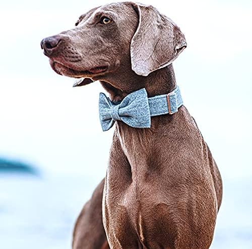 DOGWONG Hemp Cotton Dog Collar with Bow, Blue Pet Collar Durable Adjustable Puppy Collar for Medium Dogs