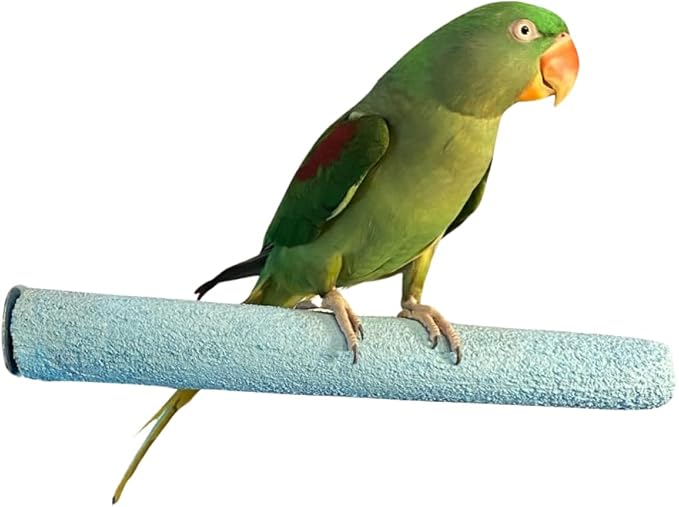 Polly's Pastels Nail Trimming & Beak Conditioning Safety Perch for Cockatiels, Cockatoos, Macaws, Parakeets, Budgies, Parrots and All Other Birds (Blue, Large Long-1 1/2