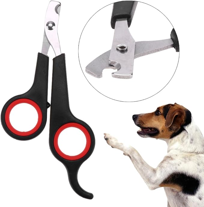 Animal & Bird Nail Clippers Upgraded Beak Trimmer Stainless Steel Pet Grooming Scissors Anti-Slip Grip Nail Cutting Tool for Small Birds Parrots and Tiny Animals