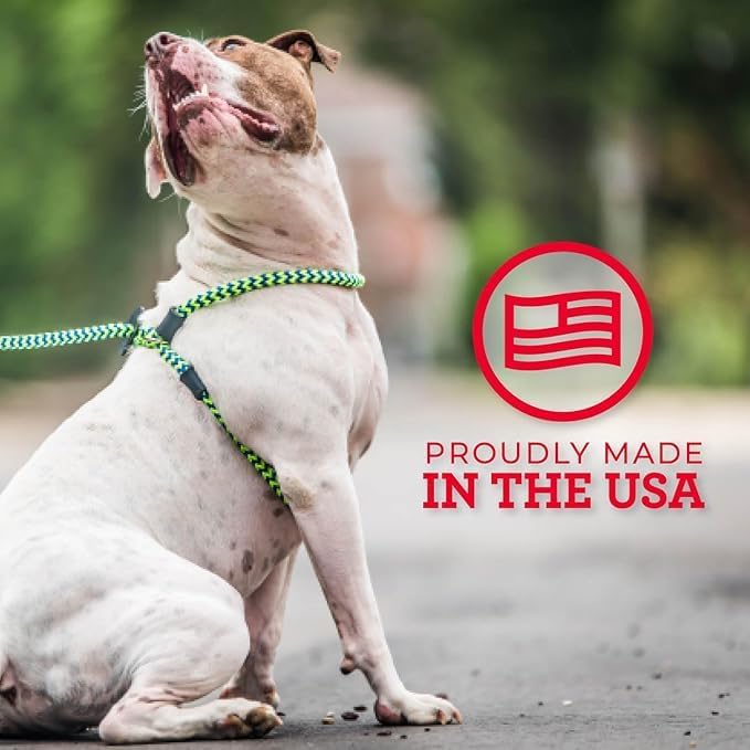 Harness Lead No Pull Dog Harness and Leash Set, Anti Pull Dog Harness, One-Piece Cushioned Rope Safely Prevents Escaping and Pulling (Extra Large, Red)