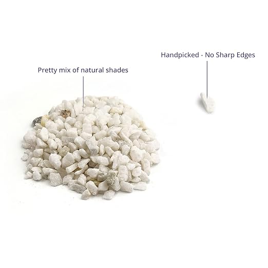 Royal Imports River Rocks, Aquarium Gravel – White 0.25" Gravel - 5 lbs | Decorative Ornamental Vase Filler Pebbles for Potted Plants, Terrariums, Vases, Succulents, Fish Tank Gravel, DIY & Crafting