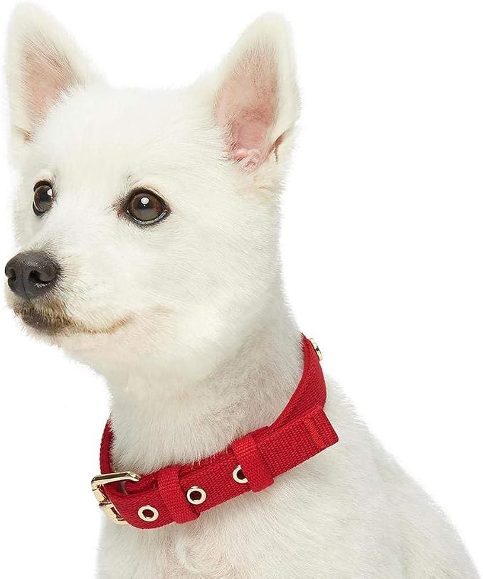 Blueberry Pet Classic Red Dog Leash & Collar Set, Puppy Essentials, Medium Size, 4 ft Rope Leash, Neoprene Padded, Gentle Leader for Dogs, Heavy Duty Dog Leashes for Large Dogs