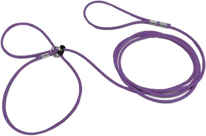 Piggy Poo and Crew 12 Foot Mini Pig Harness Adjustable Harness & Leash for Animals Pigs Ferrets Rabbits Guinea Pigs Dogs Cats Reptile Rodents Small Animals (Purple)