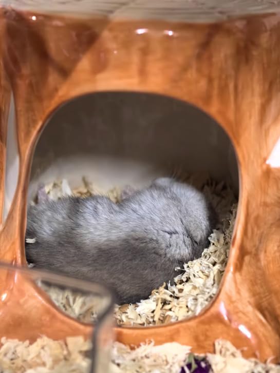 Hamster Hideout, Ceramic Tree Stump Shape Larger Hamster House and Habitats, Hamster cage Accessories, Cool Bed Ideal for All Season Syrian Hamster Dwarf Hamster Gerbil Mice Golden Bear
