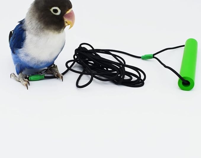 Bird Foot Chain with Flying Latex Elastic Training Rope Outdoor Parrot Ankle Foot Ring Accessories Bird Harness Leash Prevent Escaping (Model7-With 78.7inch Leash)