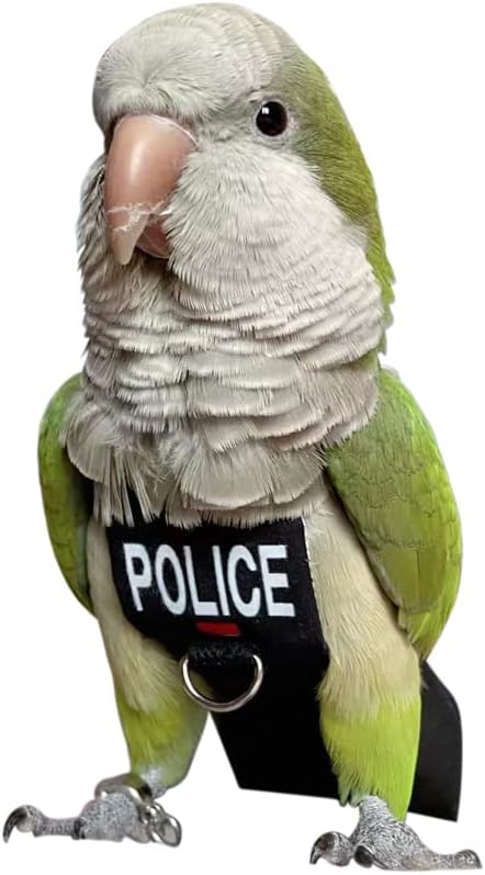 Bird Clothes Parrot Diapers Bird Flight Suits, Reusable Waterproof Diapers pet Bird Supplies (XL)