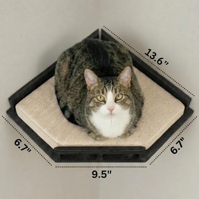 INICIO Cat Wall Shelves - Safe and Sturdy Cat Wall Furniture - Stylish Natural Wood Corner Shelf with 3 Steps for Cats up to 15lbs - Cushioned Perch and Stairs for Climbing and Playing - Black