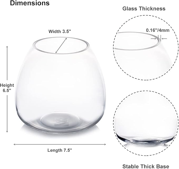 Clear Dome Shaped Terrarium Bowl Glass Vase, H 6.50" W 3.5" L7.5 Clear Round Fish Bowl Flower Vase for Desktop Decor (1 Piece)