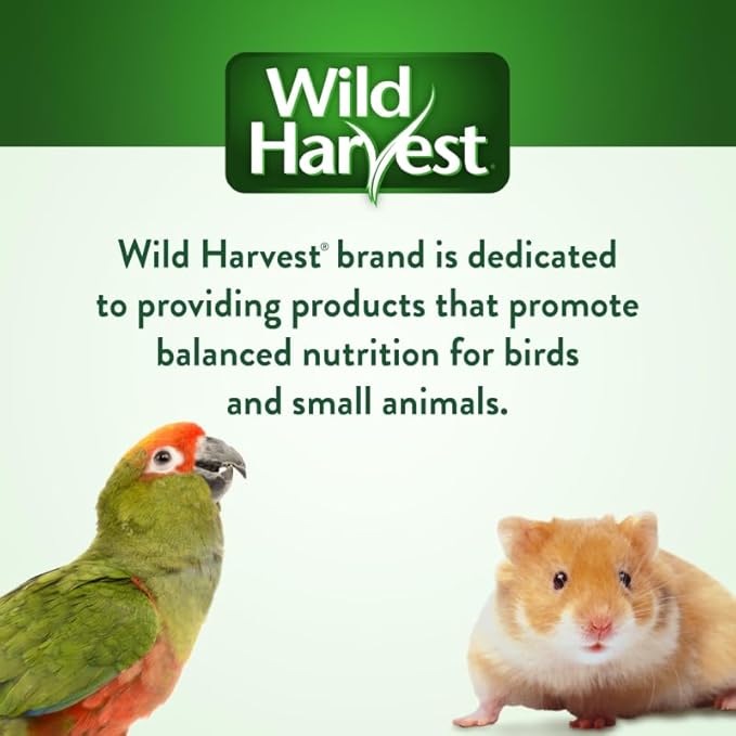 Wild Harvest P-84127 Colored Wood Chews for Small Animals, Fruit Flavored, 5-Count (Pack of 2)