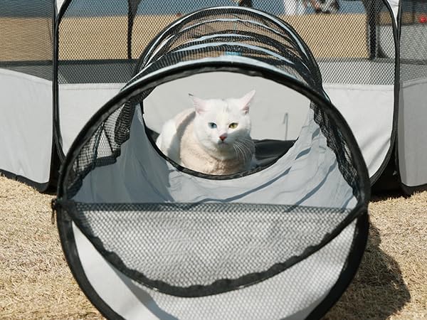 Outdoor Cat Enclosure,Cat Playground Tent for Outdoor and Indoor Playpen Portable Cat Tunnels, Foldable Cat Tubes Toys for Kitten, Puppy, Rabbit and Small Animals(2 Small Hexagonal Cubes+Tunnel)