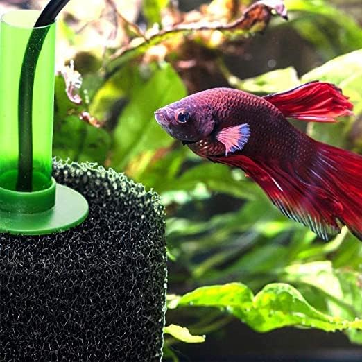 2 Pack X-Large Overflow Filter Box Intake Round Pre-Filter Foam Sponge 5.91" x 4.13" for Aquariums and Ponds (Coarse 25PPI)