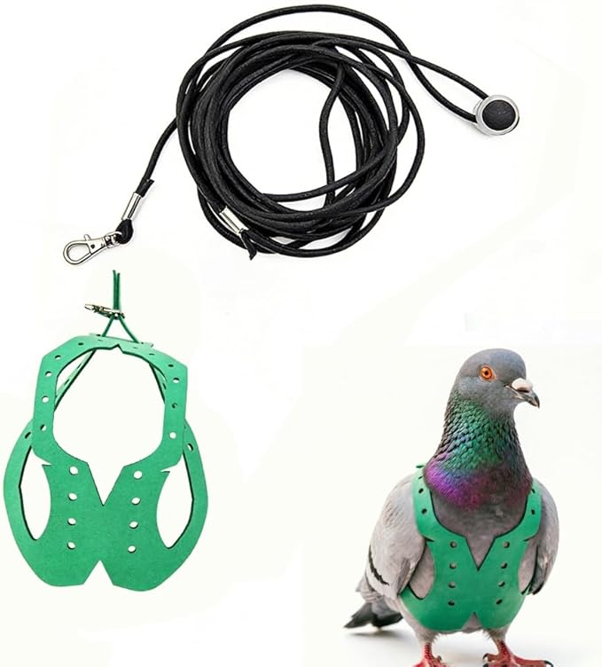 Adjustable Bird Harness & Leash Set for Small Birds,FitsBudgie,Parakeets, Conures, Cockatiels,Green Cheek,Quaker Parrots(Green, 2XL) Z6350-14