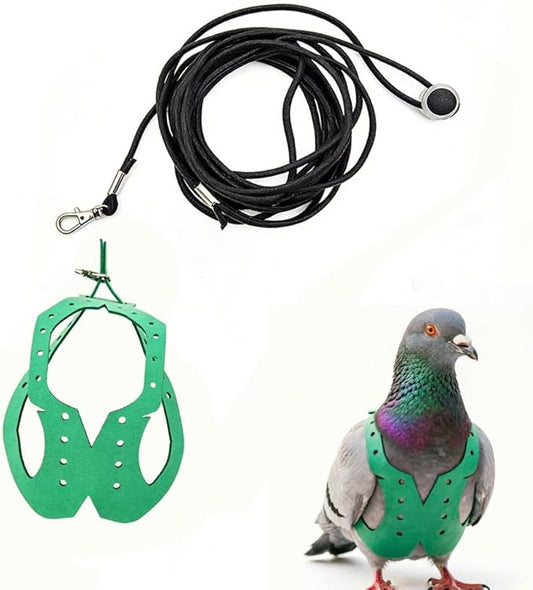 Adjustable Bird Harness & Leash Set for Small Birds,FitsBudgie,Parakeets, Conures, Cockatiels,Green Cheek,Quaker Parrots(Green, 2XL) Z6350-14