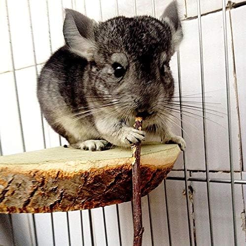 ANDES Natural Apple Sticks 10oz(300g) Small Animals Molar Wood Treats Toys Chinchilla Guinea Pig Hamster Rabbit Gerbil Parrot Bunny and Small Animals Chew Stick Toys Treats