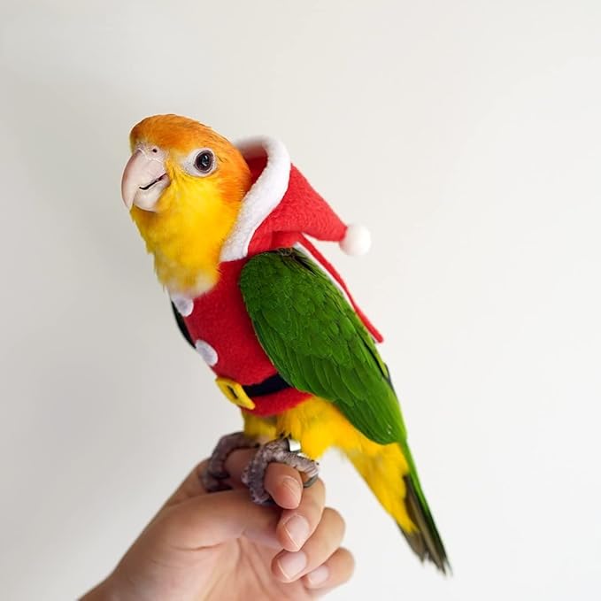 Bird Clothes Birds Flight Suit, Christmas Hoodie for Parrots Cockatiel Sun Conure Christmas Party Cosplay Photo Prop Bird Shirt Small Animals Apparel (Without Diaper,Necked Parakeet)