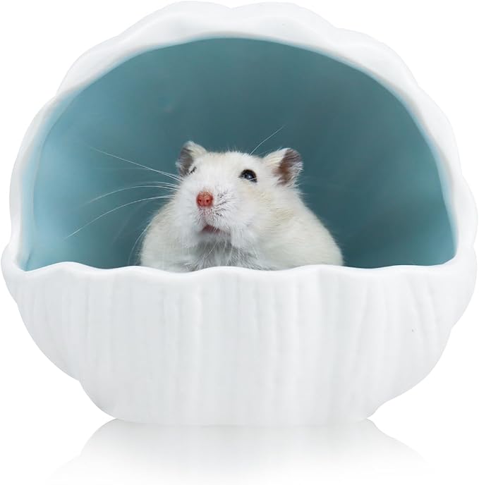 WishLotus Ceramic Hamster Hideout, Adorable Sea Shell Shaped Hamster House, Large-Opening Small Animal Hideout, Small Animal Hideout Habitat Decor for Dwarf Hamsters Gerbils Chinchilla
