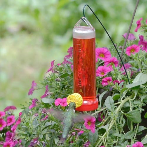 Perky-Pet 215P Planter Box 3-Ounce Plastic Hummingbird Feeder with Hanging Rod (Pack of 2)