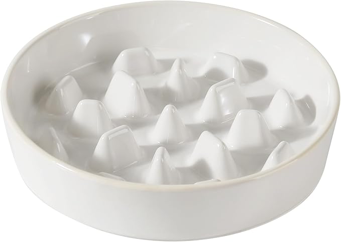 Havniva Slow Feeder Dog Bowls, 3.2 Cups Ceramic Dog Food Bowls 9.5 inch Slow Feeder for Large Dogs Puzzle Bowls for Fast Eater, Pet Slow Feeding Dish Anti-Choking