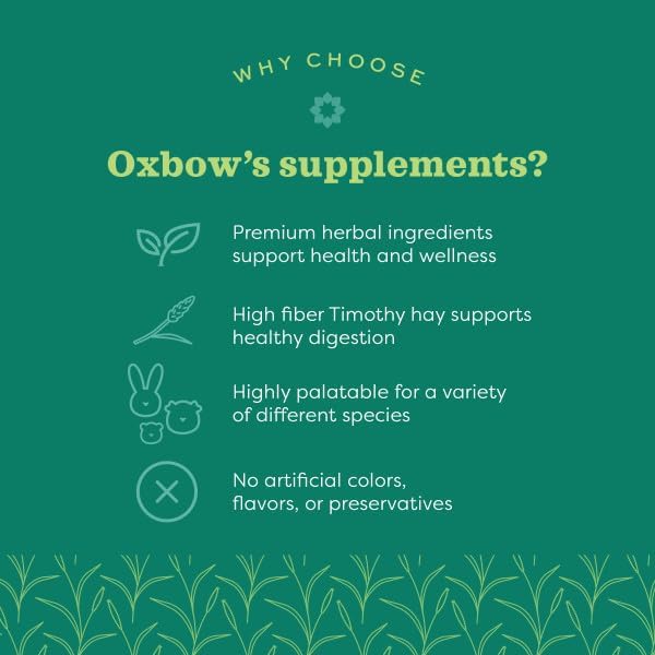 Oxbow Papaya Support, High Fiber Digestive Supplement for Rabbit & Guinea Pig, Made with Timothy Hay, Includes Papaya, Pineapple, Papain, & Bromelain, Made in USA, 1.16 oz Bag