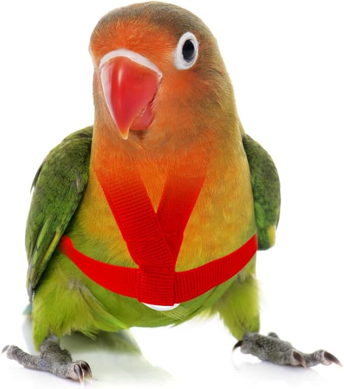 VANFAVORI Adjustable Bird Harness with 80 Inch Leash, XS Size for Peony Parrot Love Bird Weight 45-65 Grams with Outdoor Flying Training Rope, Red