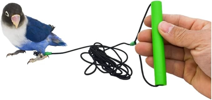 Bird Foot Chain with Flying Latex Elastic Training Rope Outdoor Parrot Ankle Foot Ring Accessories Bird Harness Leash Prevent Escaping (Model7-With 157.5inch Leash)