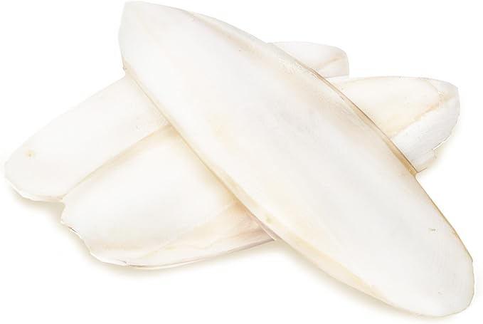 SunGrow 3 Pack Cockatiel Cuttlefish Bone, Calcium Addition to Bird Beak Care, Cage Mount Holder NOT Included, Support Shell Strength, Turtle, Shrimp, Dog, Snail, Aviary Clip, Accessory Reptile