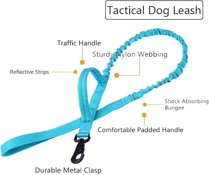 Xqpetlihai Tactical Dog Collar and Leash Set Adjustable Military Nylon Dog Collar with Control Handle and Heavy Duty Metal Buckle for Large Dogs（Blue M