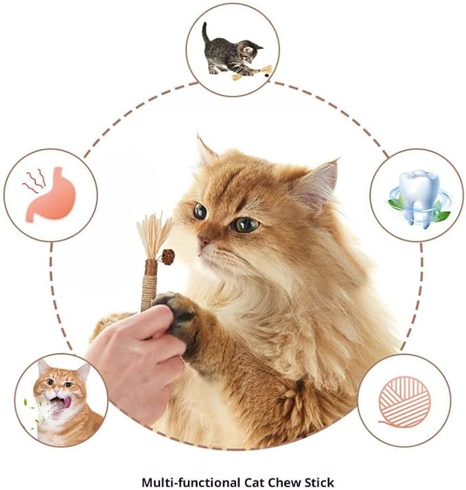 Natural Catnip Silvervine Sticks for Cats, 100% Organic Gall Fruit Mixed Chew Toys for Teeth Cleaning, Potent Cat Treats for Indoor Cats Boredom Relief & Digestive Health, 10 Count