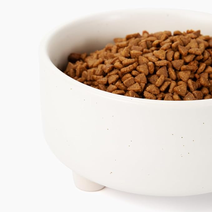 Waggo Uplift Ceramic Dog Bowl for Small Medium and Large Breeds - Heavyweight and Durable Pet Food and Water Dish Crock, Dishwasher Safe, Modern, Elevated Feeder (Speckle, Large)