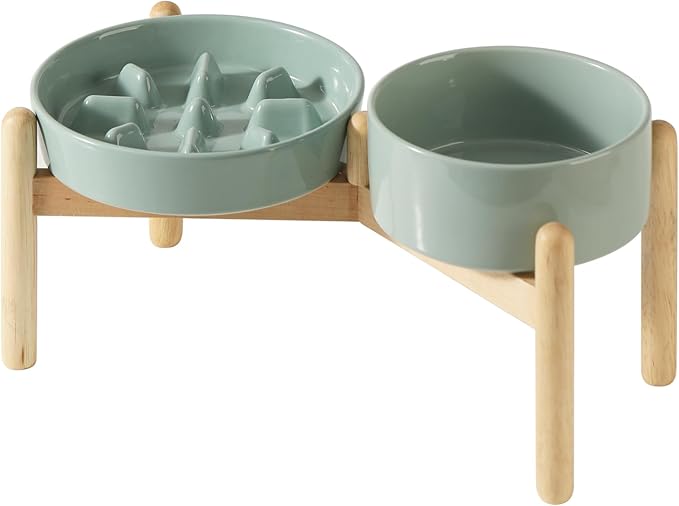Havniva Ceramic 1.2 Cup Raised Slow Feeder Dog Bowl Set, Elevated 6.1inch Bowl and 7.3inch Slow Pet Food Dish with Wooden Stand for Small and Medium Dog (2 x Light Green+ Stand)