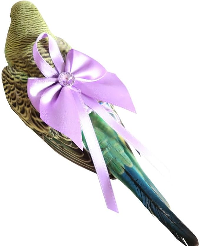 6pcs Bow Bird Diaper Set, Soft Reusable Flight Suit Clothing for Parrots Budgies Cockatiels — Cleaner Indoor Bonding & Training(S)(L)