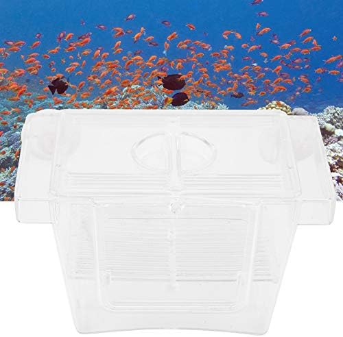 Split Fish Betta 5 Gallon Fish 14 X 8 X 8 Acrylic Aquarium Fish Breeding Box Incubation Box Small Size