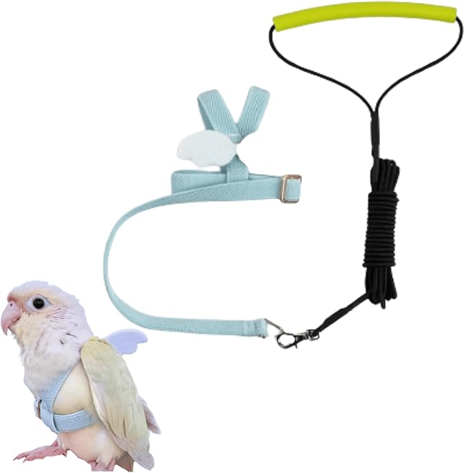 Pet Parrot Bird Harness and Leash, Adjustable Training Design Anti-Bite, Bird Nylon Rope with Cute Wing for Lovebird Budgie African Grey Macaw Conure (Light Blue,2XL)
