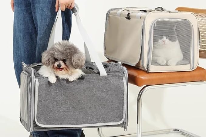Pet Carrier Bag for Cats & Small Dogs, Airline Approved Travel Cat Carrier with Mesh Windows, Shoulder Strap & Removable Mat, Foldable Design for Home & Outdoor Trips