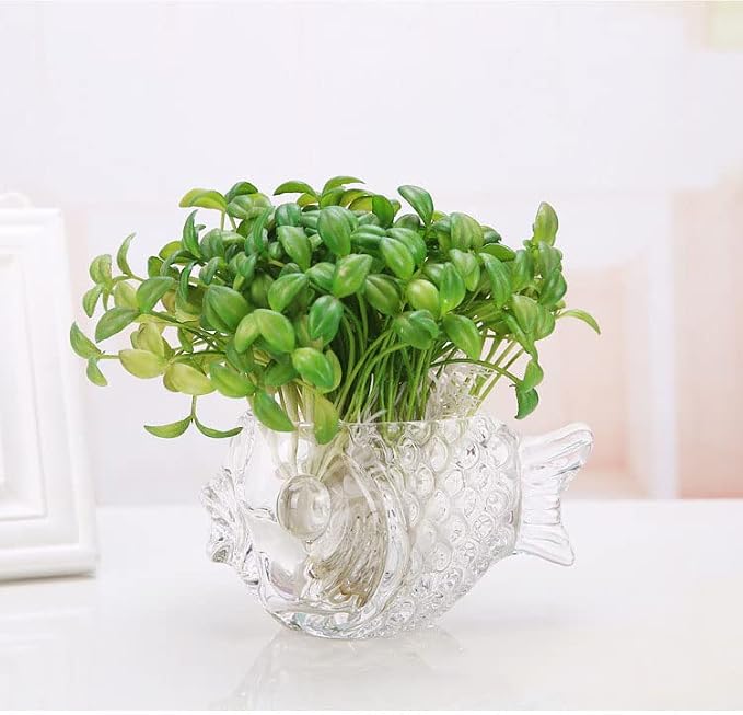 MLAQLS Fish Glass Bowl Multipurpose Living Room Turtle Tank Office Decoration Craft Ornaments Hydroponic Plant Utensils for Office,Living Room,Party,Restaurant