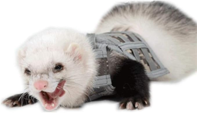 Ferret Clothes Small Animals Harness Military Style Adjustable Shoulder Straps Soft Mesh Comfort Durable Nylon Padded Vest Ferret Guinea Pig Hamster Bunny Kitten Puppy Small Pet Clothes Accessory