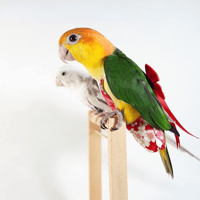 Bird Flight Suit Diapers for Monk Parakeets, Cockatiels - Parrot Clothes, Training Nappy Suit Liners (Small, Red-B)