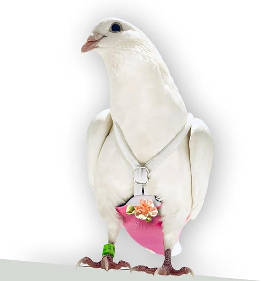 FLYPER Adjustable Mini Bird Diaper | Reusable, Washable Cloth | Comfort Fit for Parrots, Cockatiels, and Other Small Birds | Fashionable Avian Accessories Butterfly, Sparkly Rose, Mini Size 4.5