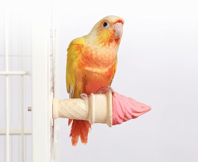 Bird Toy - Parrot Chewing Toys, Squirrel Hamster Teeth Grinding Stone Stand Platform (Large)