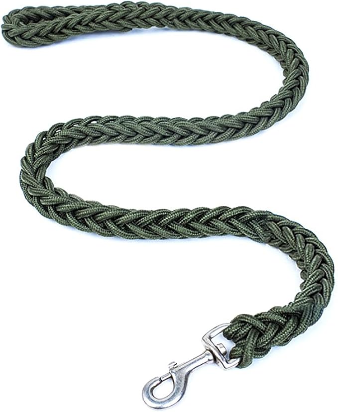 Love Dream Dog Collar and Leash Set, Heavy Duty Nylon Braided Rope Strong 4 FT Dog Leash and Martingale Training Collar for Small Medium Large Dogs Training and Walking (Green)