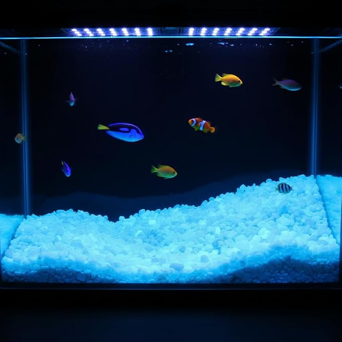 Shiny Stone Glow in The Dark Aquarium Gravel Sand, Sky Blue, 5-8mm | Neon, 305g/0.67lbs, Decorative Rocks for Fish Tank, Fairy Garden, Home Decor