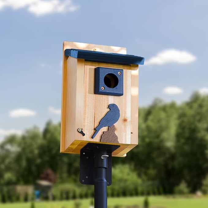 2pk XXXLL Bluebird Houses for Outside,Heavy Duty Western Red Cedar Audubon Bird House for Outdoor,Wall Pole Mountable,1.5” Metal Guard Hole 13/16" Thick, Assembling Need, 2026 Updated Version(A)