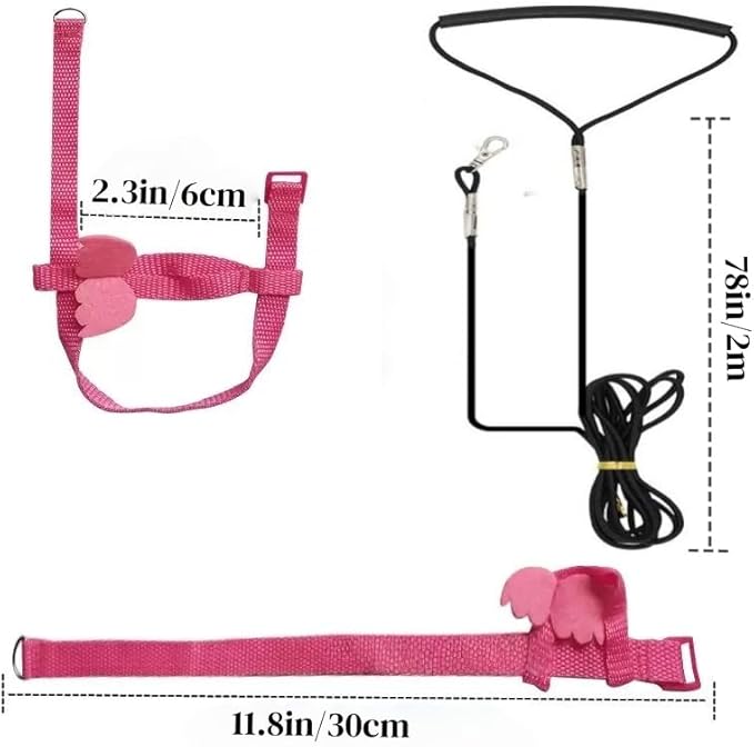 3 Sets Pet Parrot Bird Harness and Leash with Cute Wing, Adjustable Bird Flying Harness Straps Outdoor Training Traction Rope for Parrots Pigeons Lovebird Cockatiel(S,Pink, Yellow&Purple)