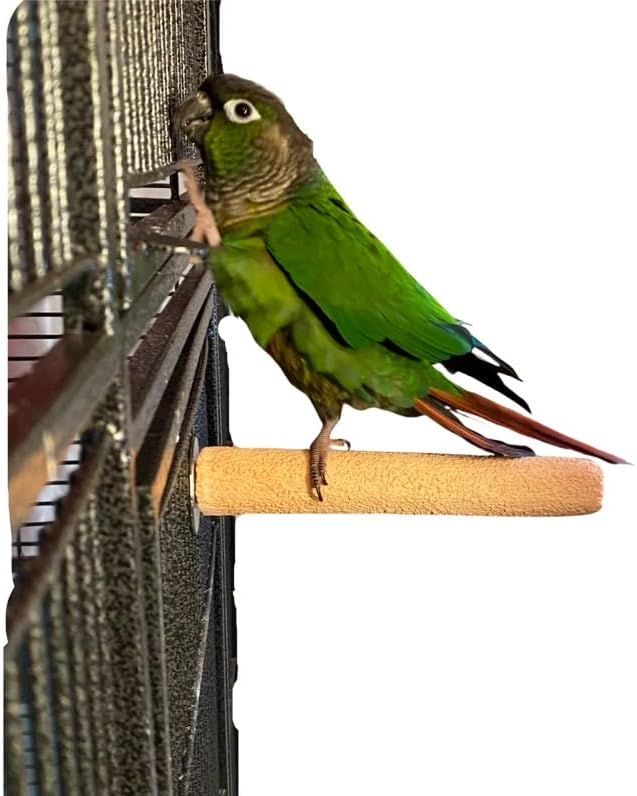 Polly's Pastels Nail Trimming & Beak Conditioning Safety Perch for Cockatiels, Cockatoos, Macaws, Parakeets, Budgies, Parrots and All Other Birds (Coral, Baby Medium-3/4 Dia. x 5" Long)