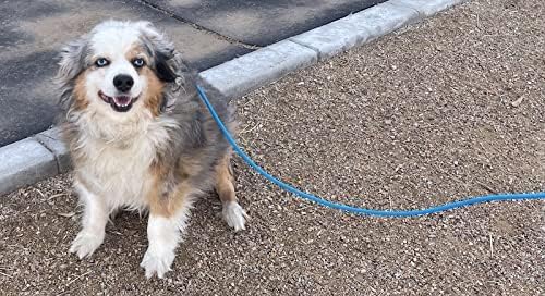 Piggy Poo and Crew 12 Foot Mini Pig Harness Adjustable Harness & Leash for Animals Pigs Ferrets Rabbits Guinea Pigs Dogs Cats Reptile Rodents Small Animals (Blue)